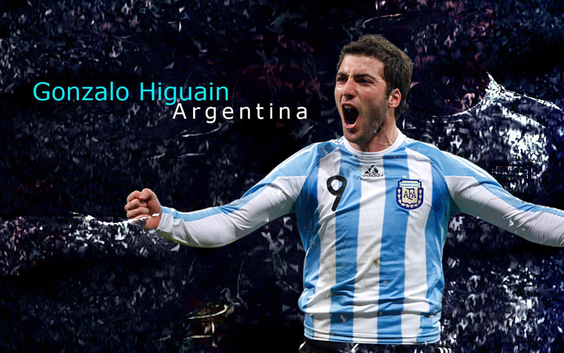 体育赛事观众人数增长