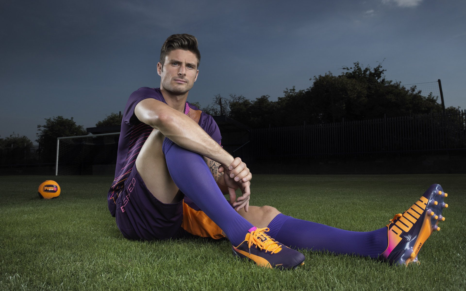 体育赛事观众人数增长